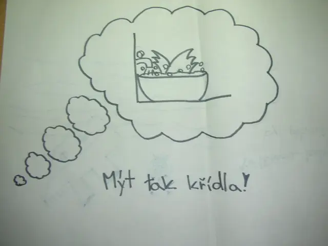 Skicujeme češtinu - mýt křídla