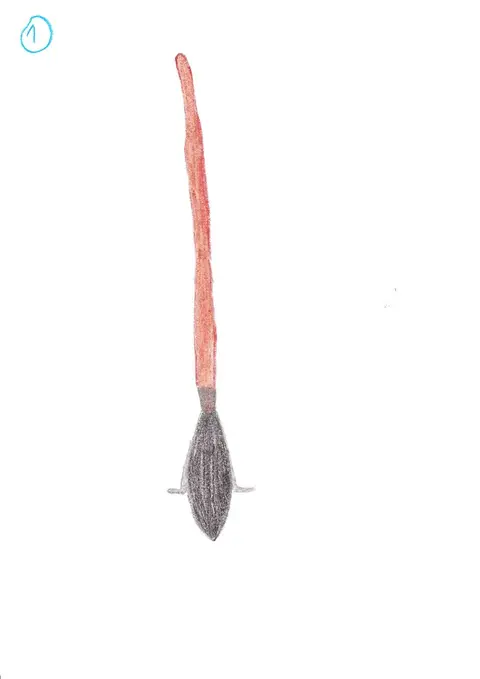 Koště