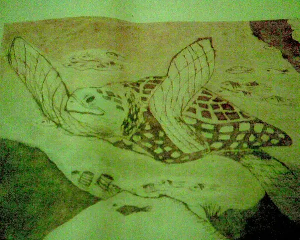 Práce žáků č. 5189