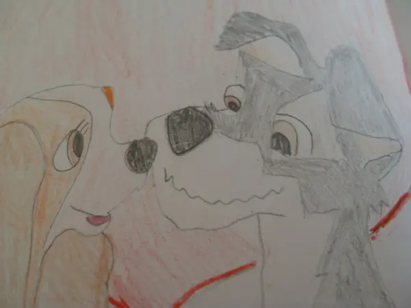 Lady a Tramp