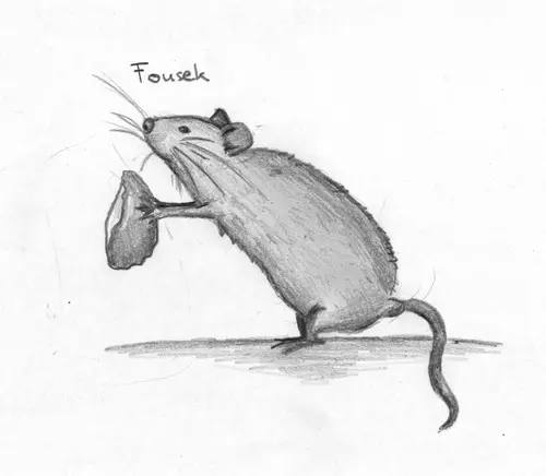 Fousek, miláček koleje