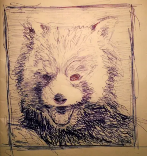Panda červená