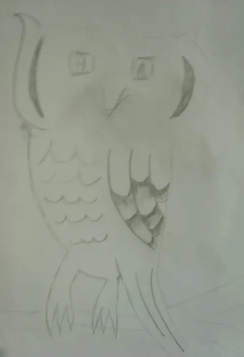 Sova