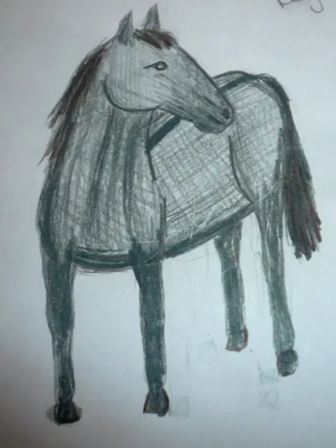 Kůň