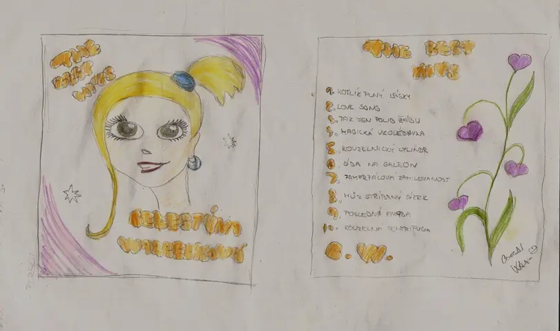 Gramofonová deska (seminář)