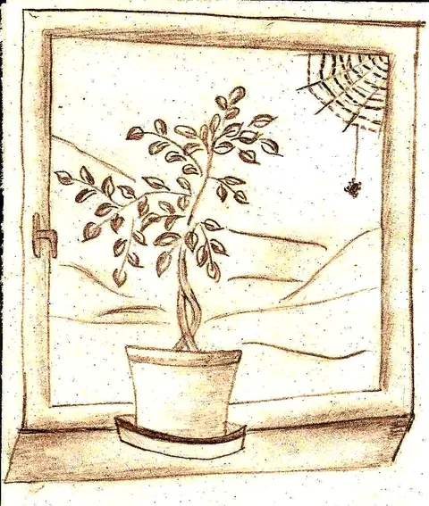 Okno s květinou