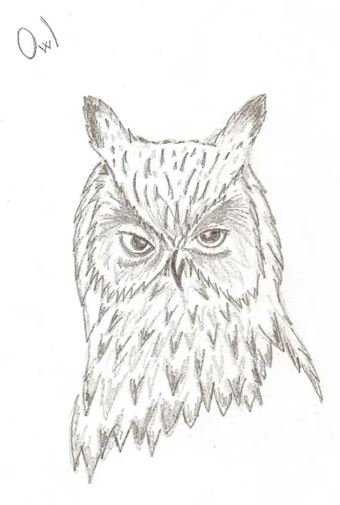 Errol