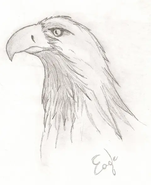 Ravenclaw