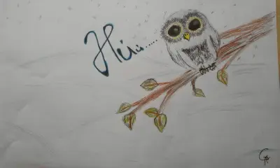 Moje sova Nella Pepina