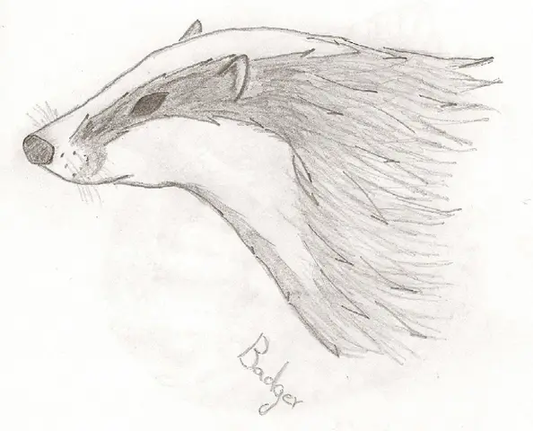 Hufflepuff