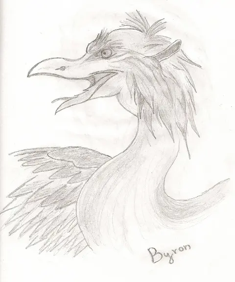 Griffin