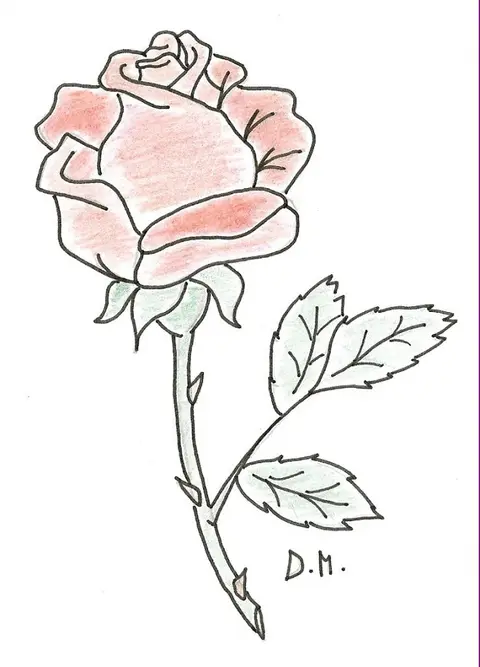 Rose