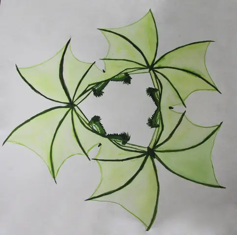 Draci