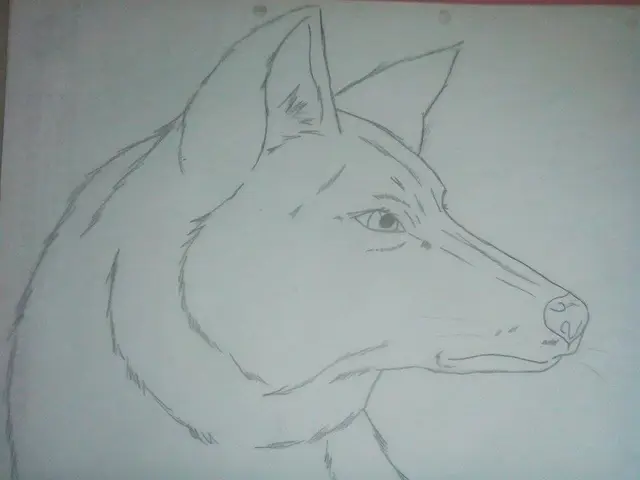 Vlk