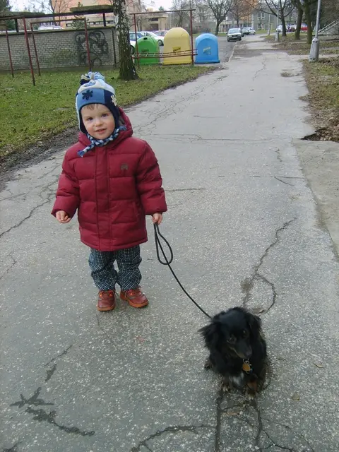 Práce žáků č. 5977
