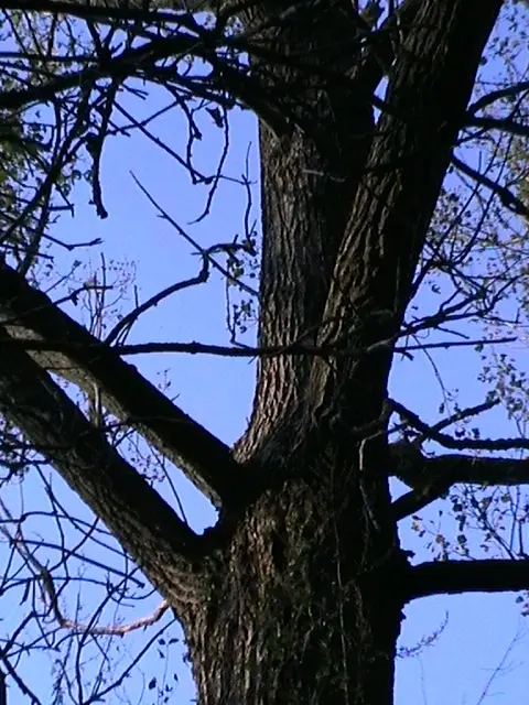 Barva podzimu nesoutěžní 2