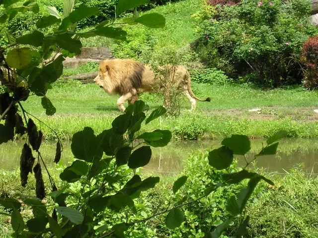 Kategorie Živá zvířata - Zoo Zlín 01