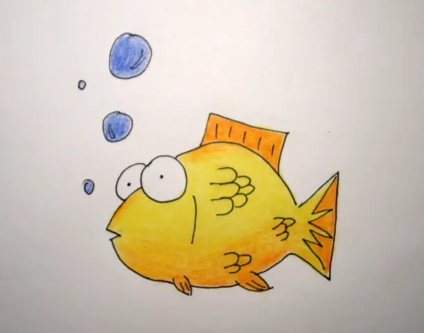 Úkol číslo 4 - Zlatá rybka