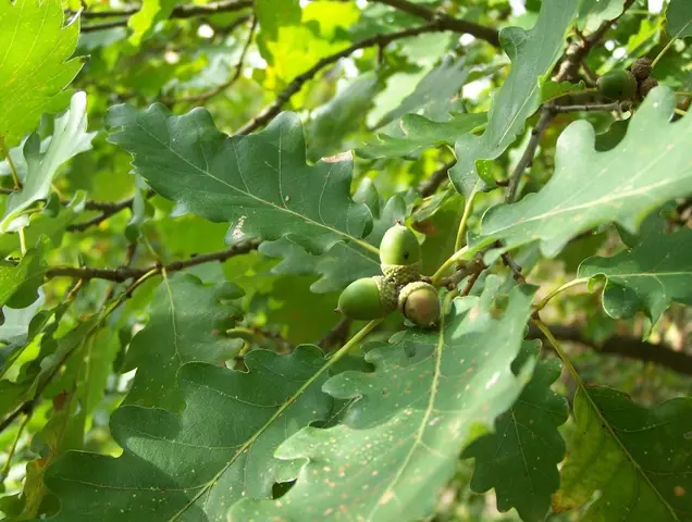 1. úkol