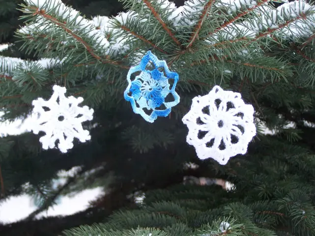 Vločka 4