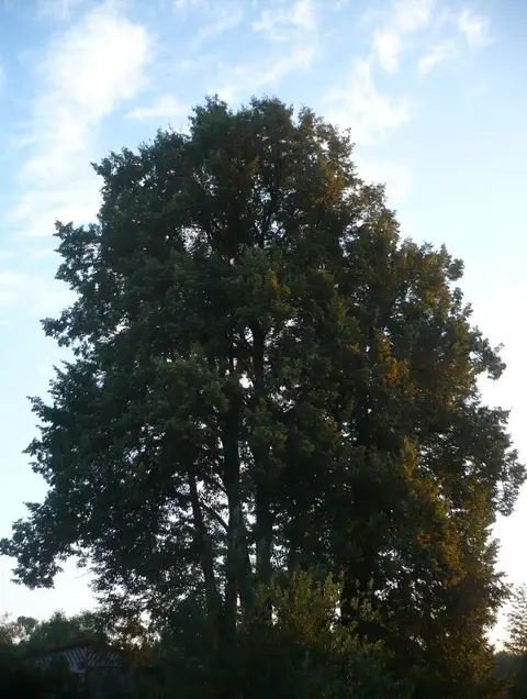 1. úkol