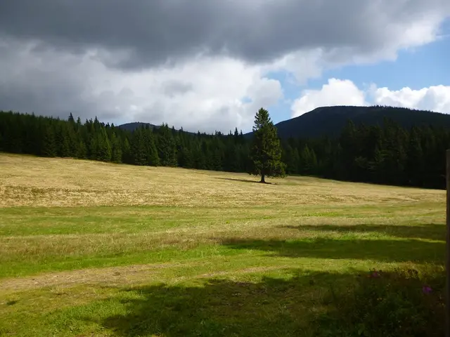 Počasí