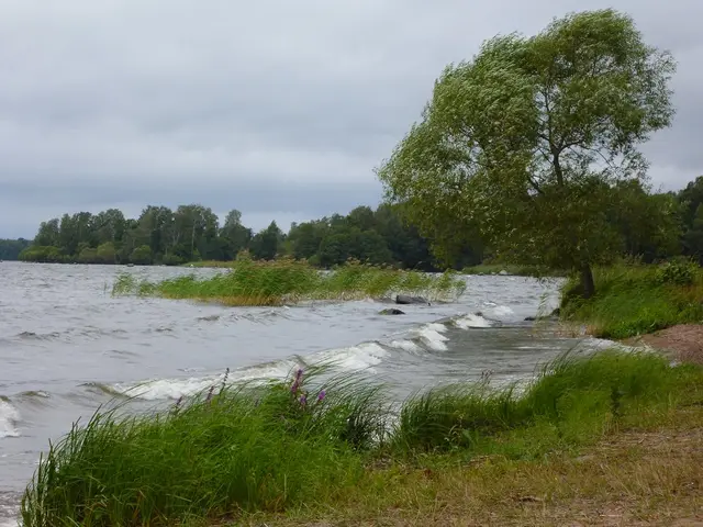 Počasí