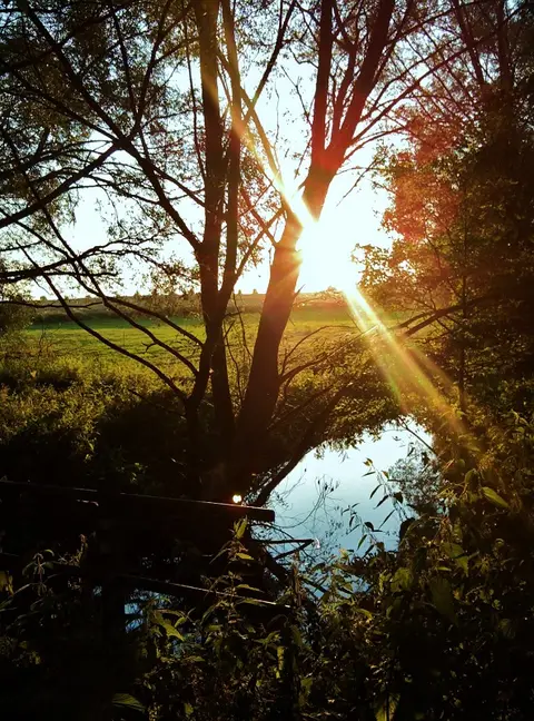 Příroda