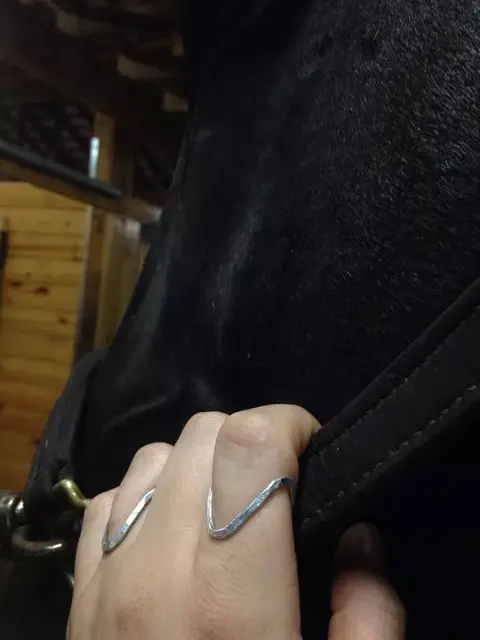 Volná kategorie