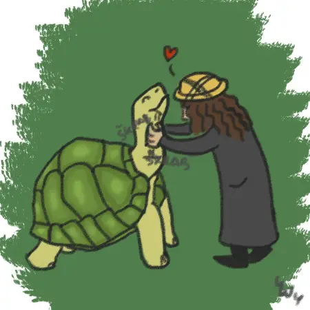 Škrábání želvy