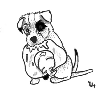 Hafoň