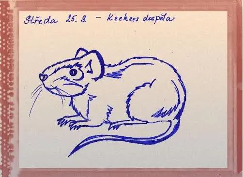 Práce žáků č. 9064