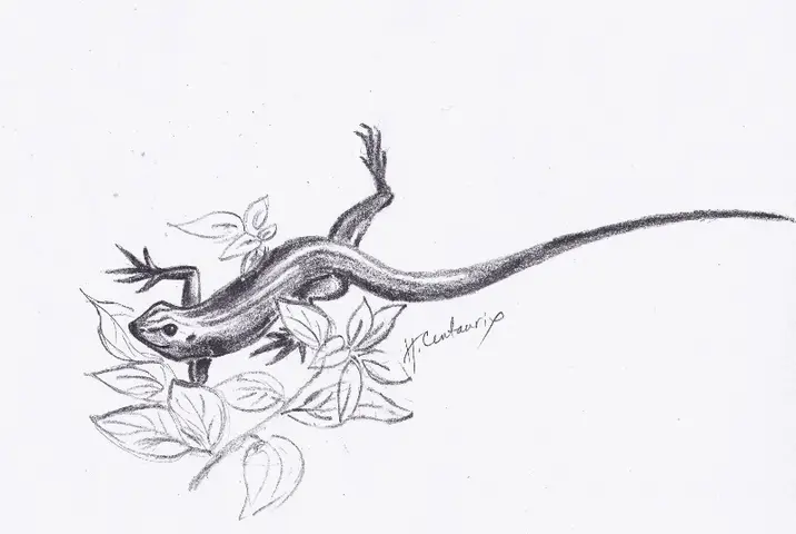 Hekatea Centaurix