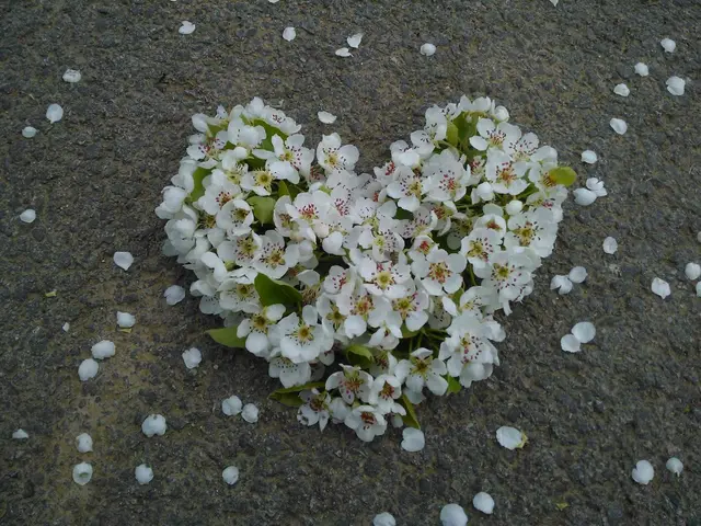 Práce žáků č. 9868