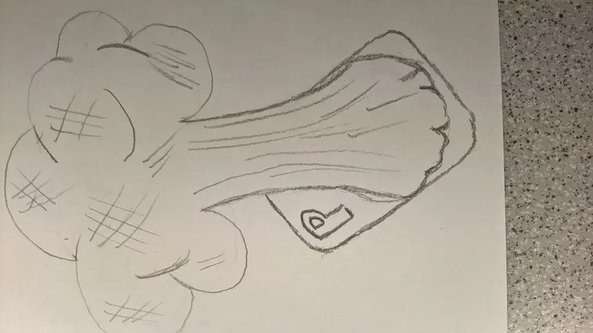 Práce žáků č. 9916