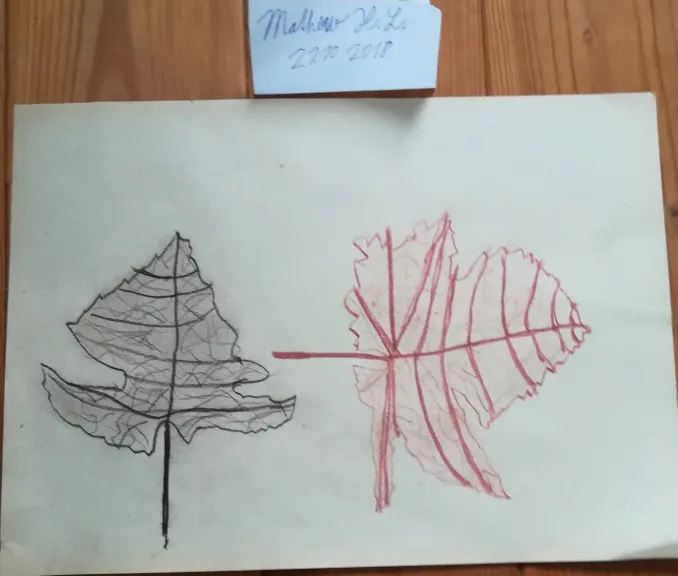 Podzimní listí