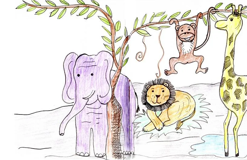 Safari