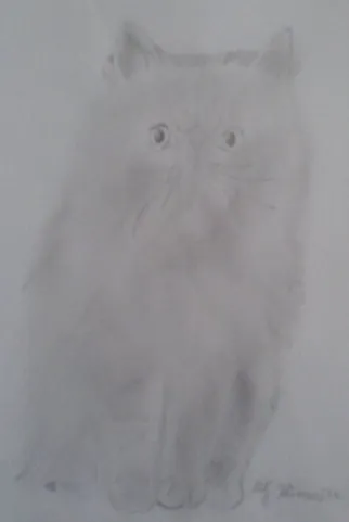 Kocour Křivonožka