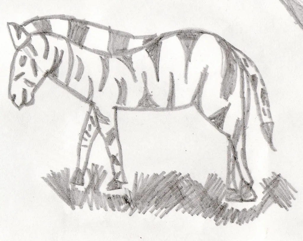 Zebra