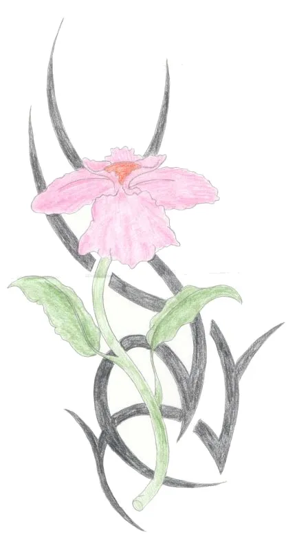Orchid