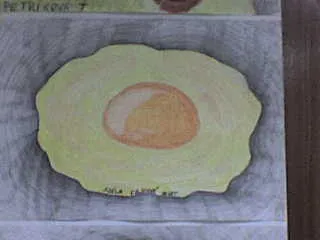 Volské oko