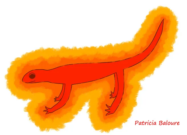Salamandra