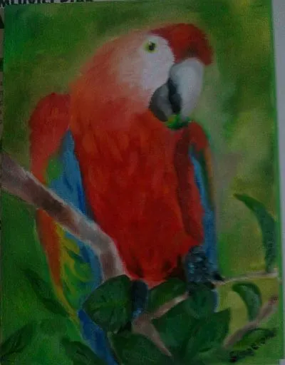 Papušek