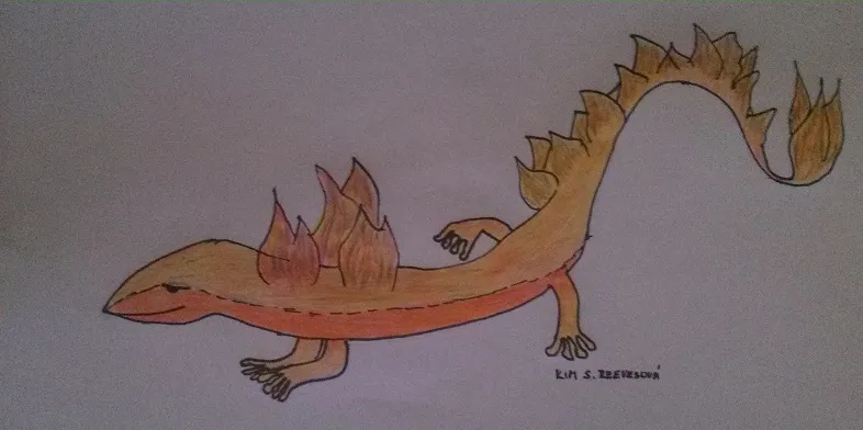 Salamandr