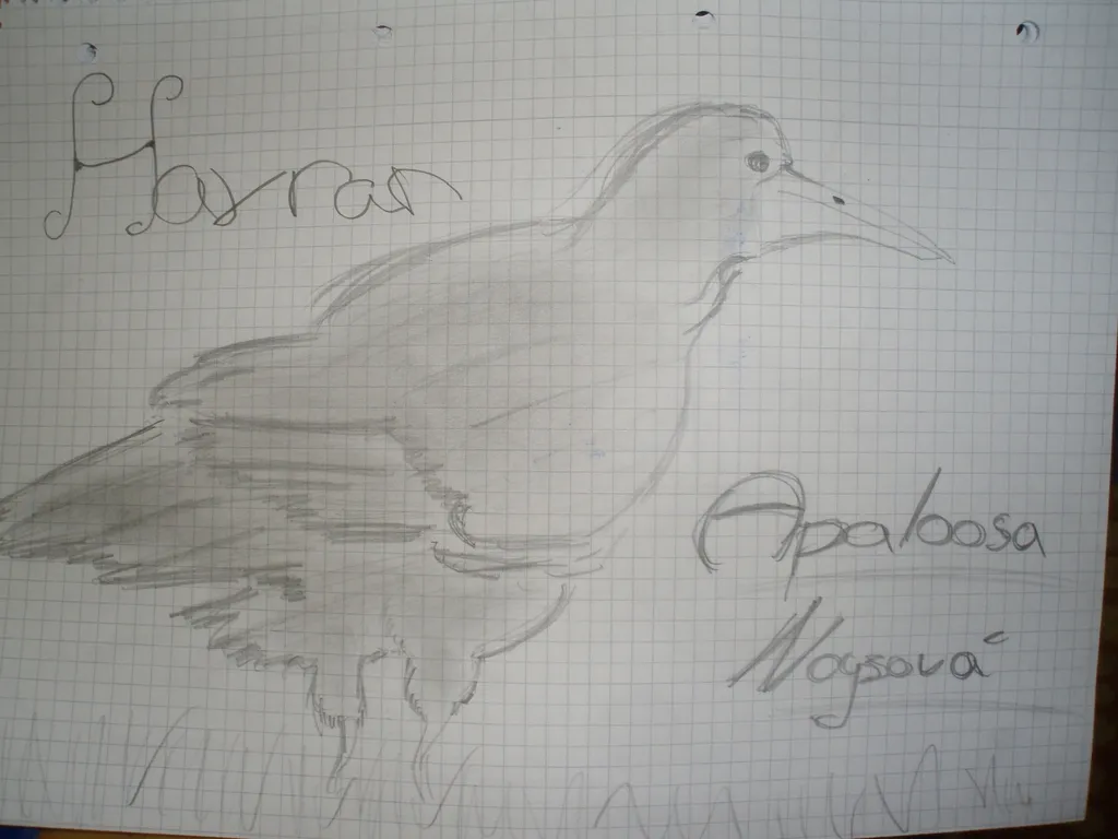 Podobizna p.p.Carwina IV. Přeměna