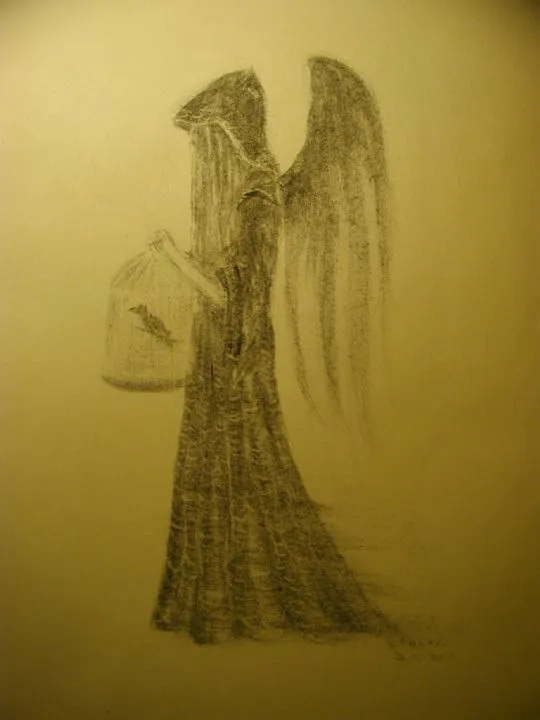 Twisted Illusions