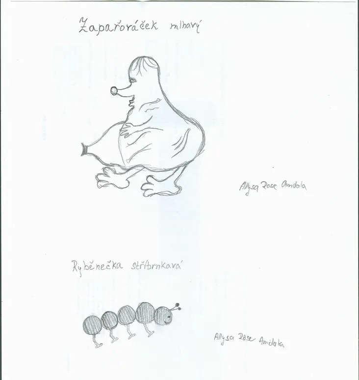 Domácí škůdci a tvorové z kouzelnického světa
