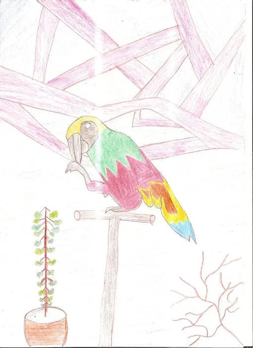 dielo: farebný havran autor: Rosa Marike Mazzone