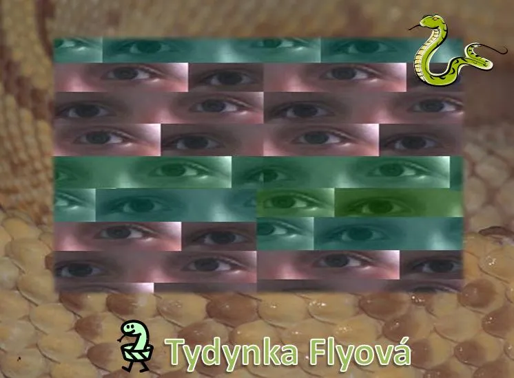 Tydynka Flyová