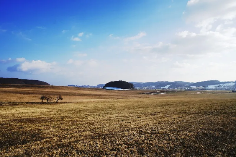 Upravená krajina